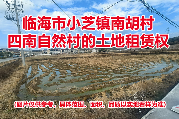 临海市小芝镇南胡村四南自然村的土地租赁权